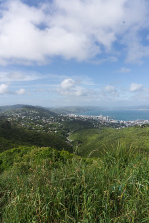 Hiking in Wellington - The Best of Wellington in 48 Hours